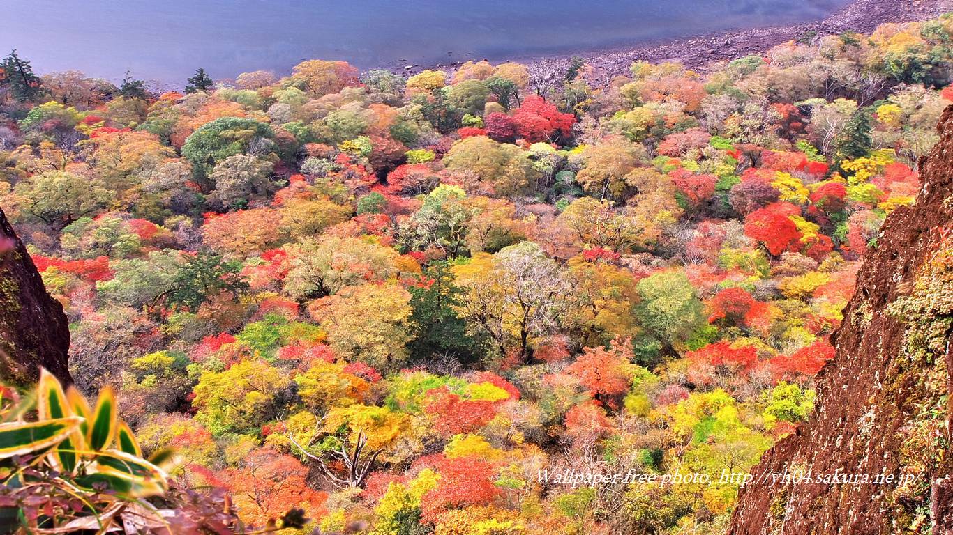 大波の池の紅葉 高画質 1366 768 デスクトップ無料壁紙