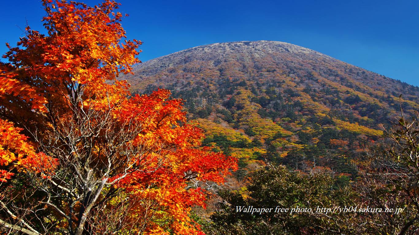 韓国岳と紅葉をモチーフしました 「高画質＋高解像度(1366×768)」デスクトップ無料壁紙」
