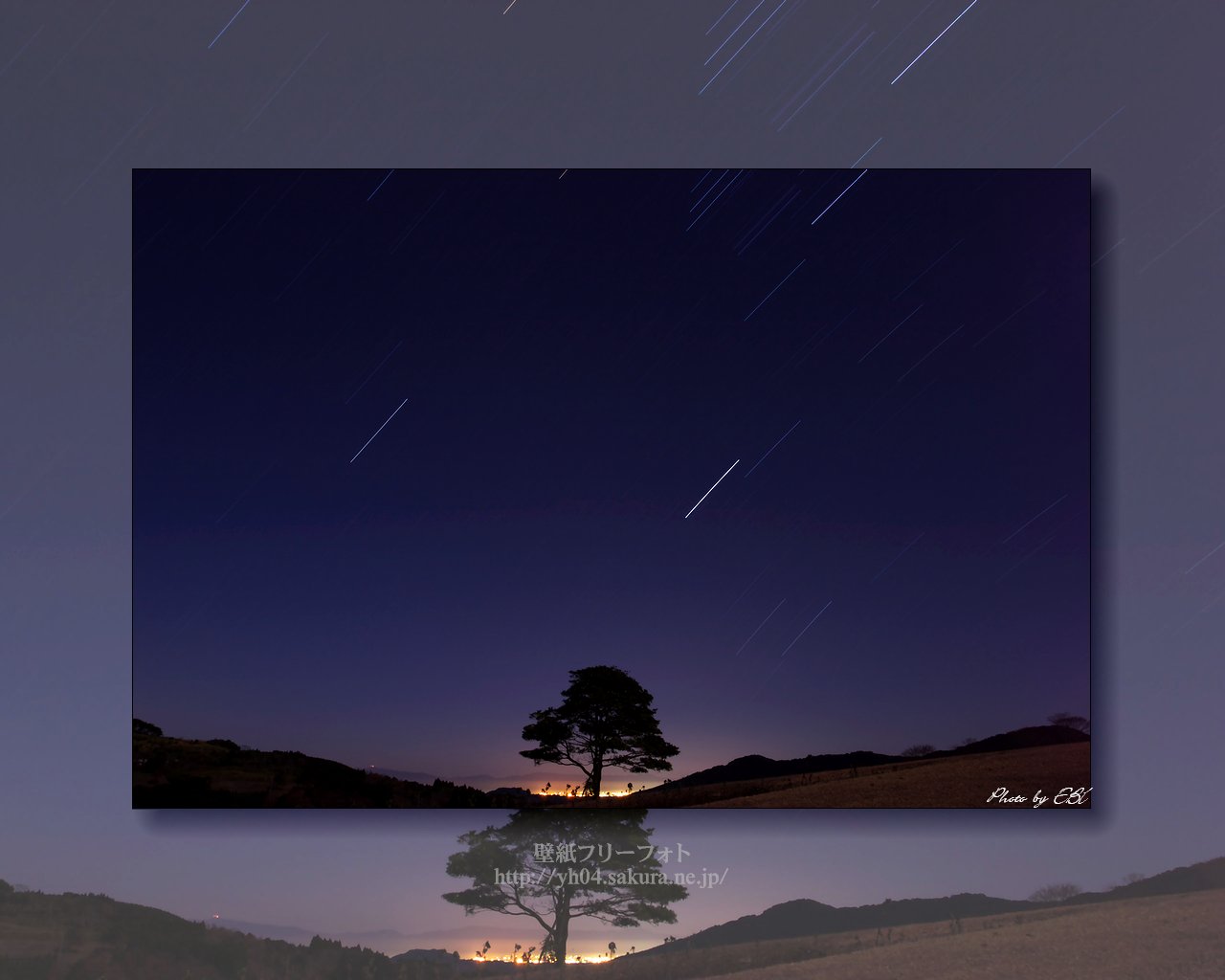 高千穂牧場に立つ一本の樹と星の光跡をモチーフしました 「高画質＋高解像度(1280×1024)」デスクトップ無料壁紙」