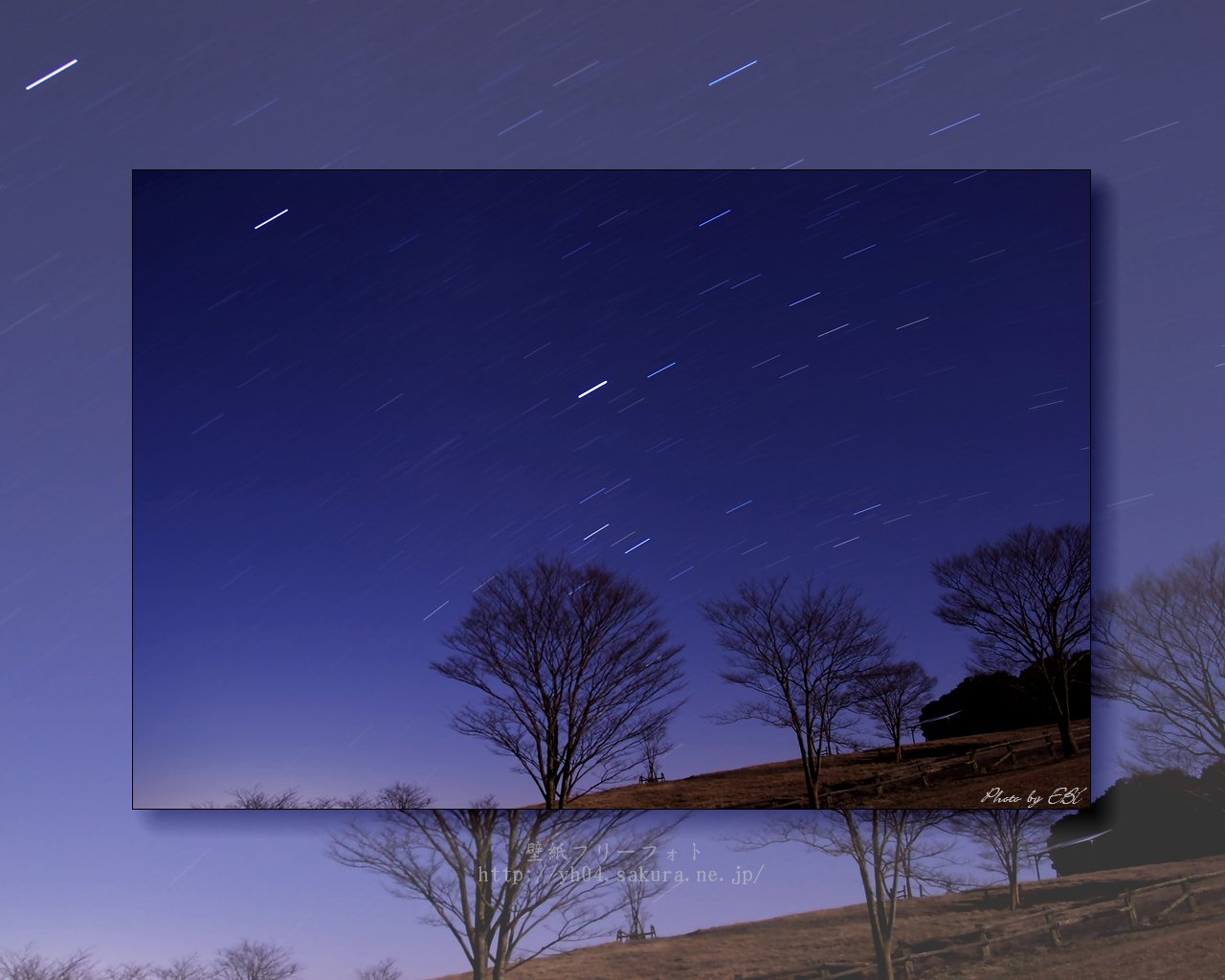 高千穂牧場に立つ樹と星の光跡をモチーフしました 「高画質＋高解像度(1280×1024)」デスクトップ無料壁紙」