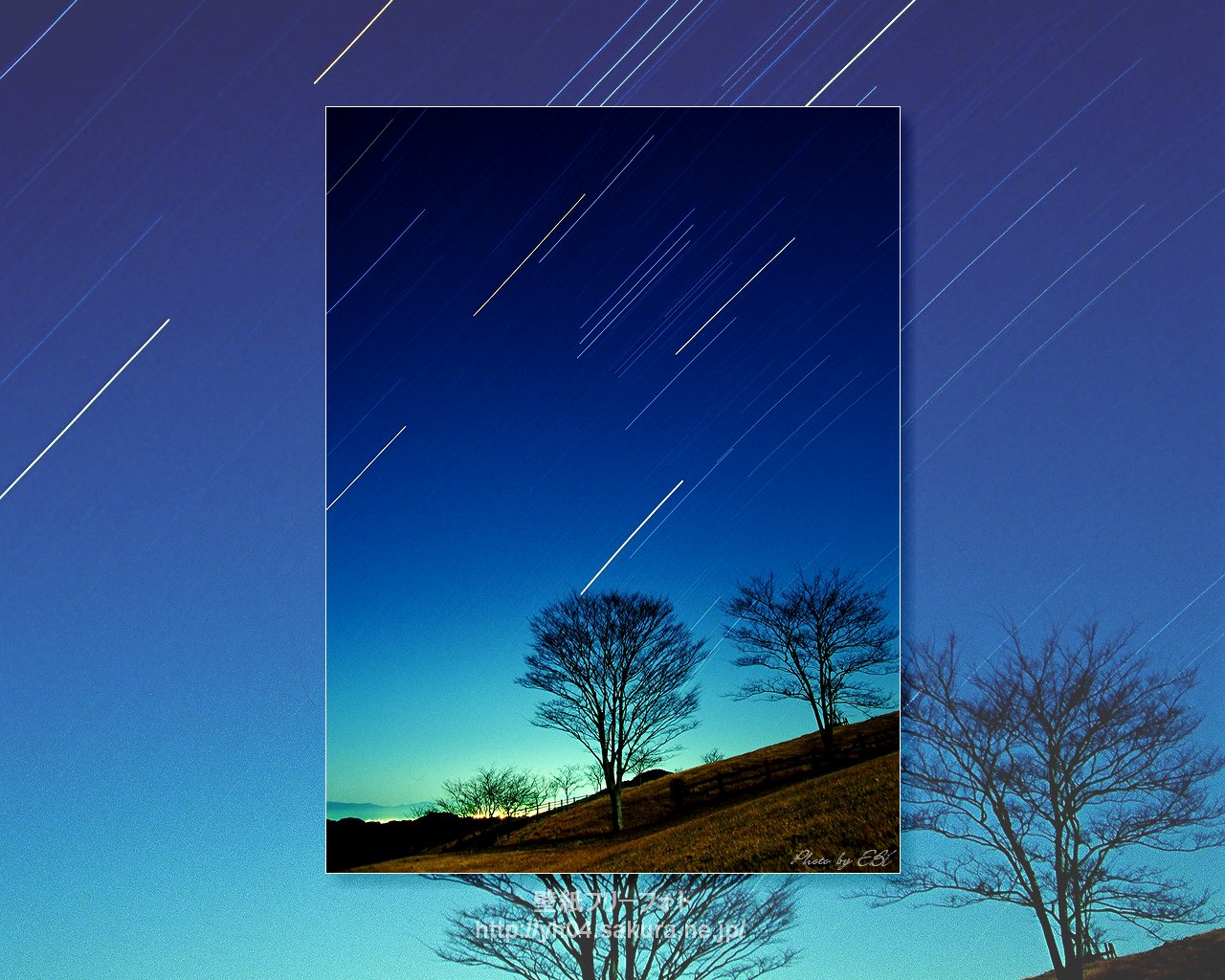 高千穂牧場に立つ樹と昇るオリオンをリバーサルフィルムで撮影した画像をモチーフしました 「高画質＋高解像度(1280×1024)」デスクトップ無料壁紙」