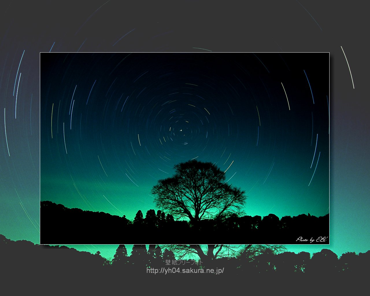 一本の樹と北極星を中心とした星の光跡をリバーサルフィルムで撮影した画像をモチーフしました 「高画質＋高解像度(1280×1024)」デスクトップ無料壁紙」