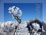韓国岳の樹氷