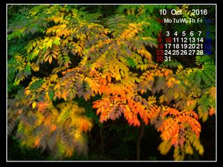 【色付き始めた櫨の木】2016年10月のカレンダー付き壁紙