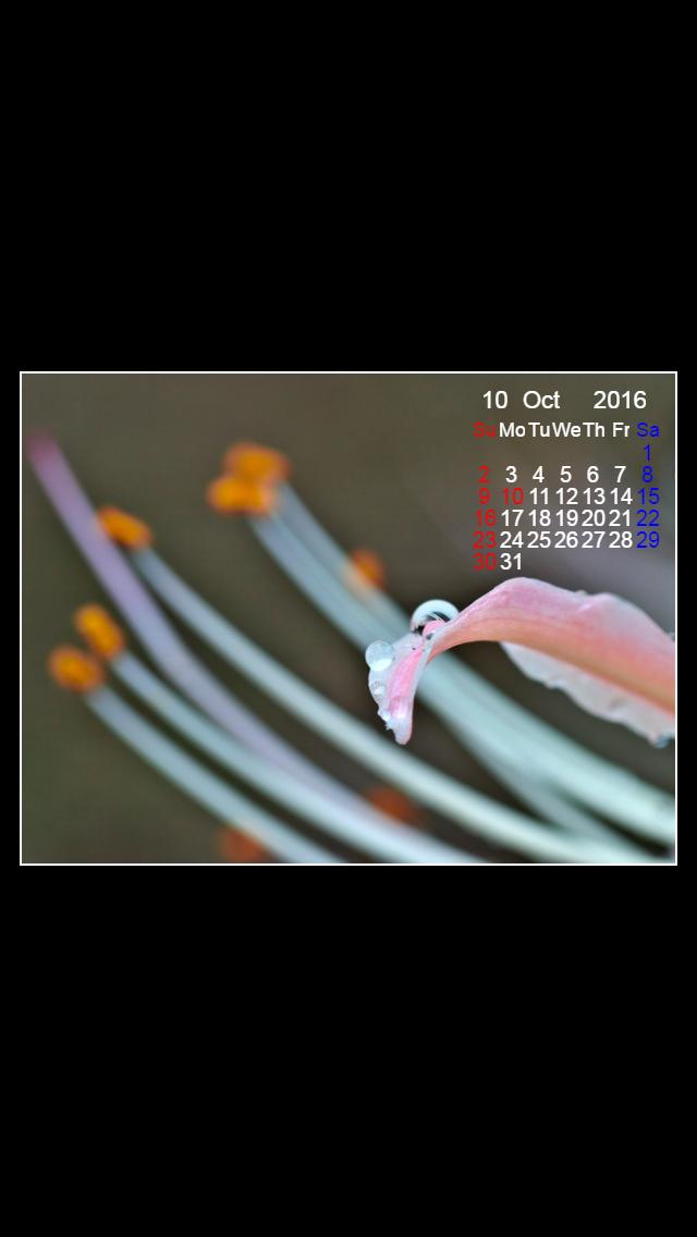 風景写真 彼岸花と雫をモチーフにしました16年10月のカレンダー付きスマートフォン無料壁紙 640x1136