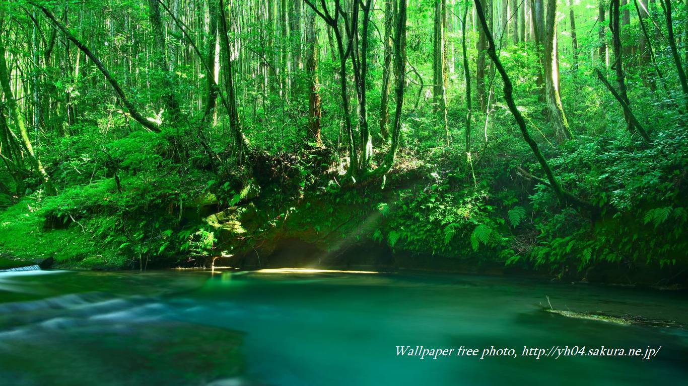 久留味川渓谷をモチーフしました 「高画質＋高解像度(1366×768)」デスクトップ無料壁紙」