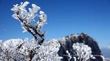 韓国岳の樹氷をモチーフしました 「高画質＋高解像度(1366×768)」デスクトップ無料壁紙」