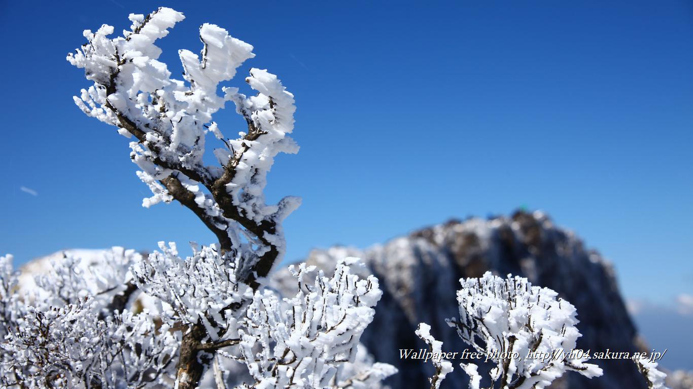 韓国岳の樹氷をモチーフしました 「高画質＋高解像度(1366×768)」デスクトップ無料壁紙」